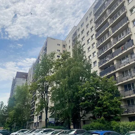 Dwa Koty סוסנוביץ'