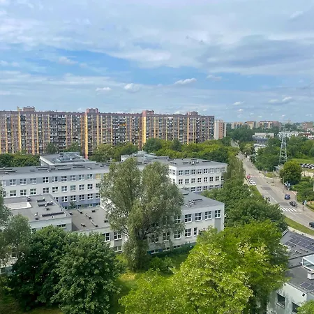 Dwa Koty * Sosnowiec